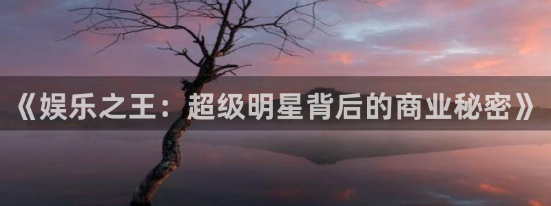 888贵宾会官网：《娱乐之王：超级明星背后的商业秘密》